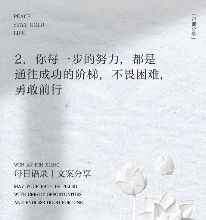 脚步稳定，前行不停（一个人的奋斗历程）