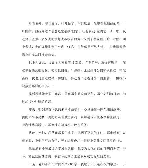 追逐成功的渴望（一个少年在追求自己的梦想之路上）