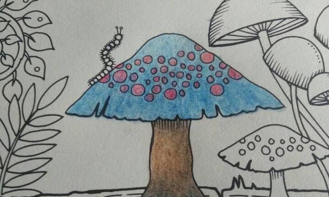 秘密（伴随着我）