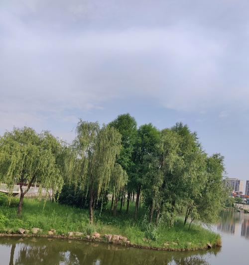 心间的风景（一场与内心对话的旅程）
