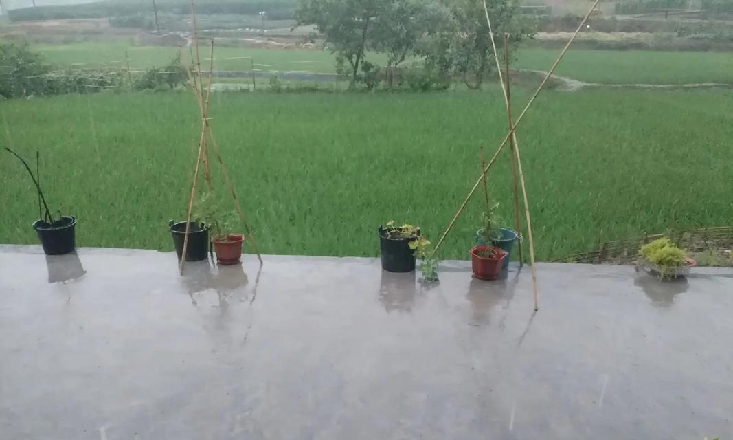 关于时间和选择的故事（关于时间和选择的故事）