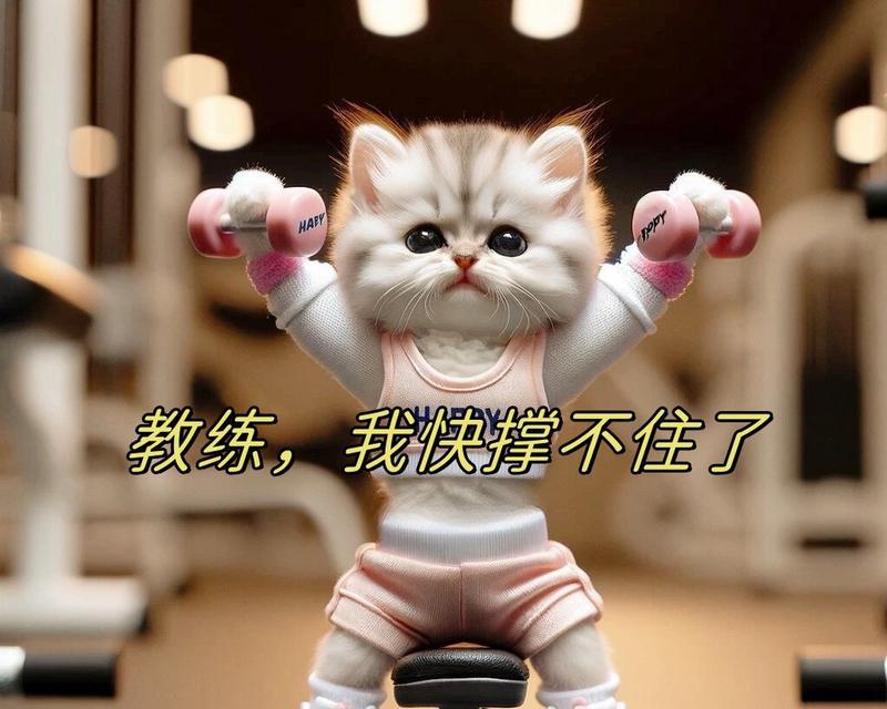 冲破阴霾（与命运抗争）