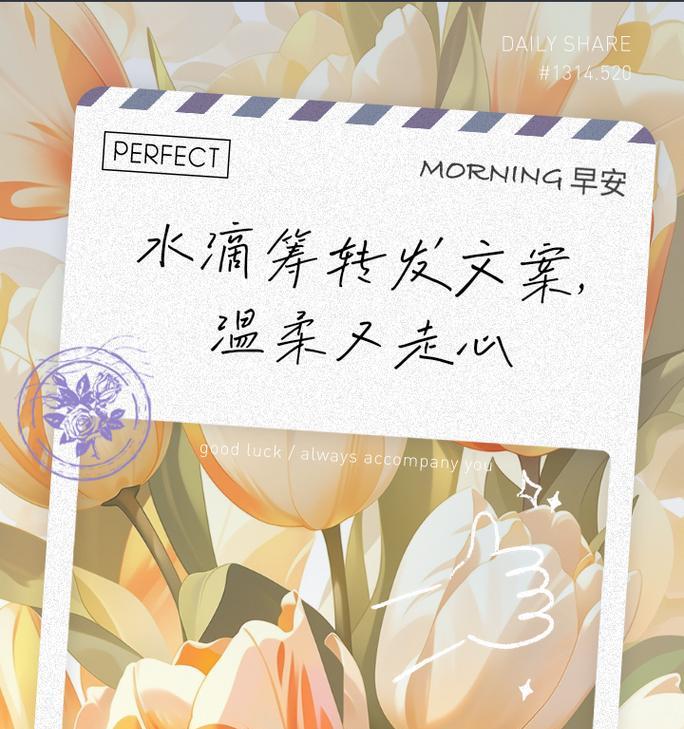 善意之爱（用爱化解矛盾）