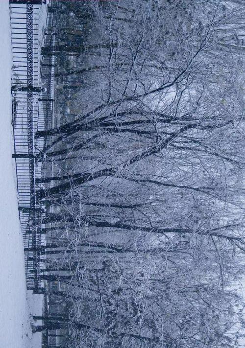 WinterSnow（AStoryofLoveandCourage）