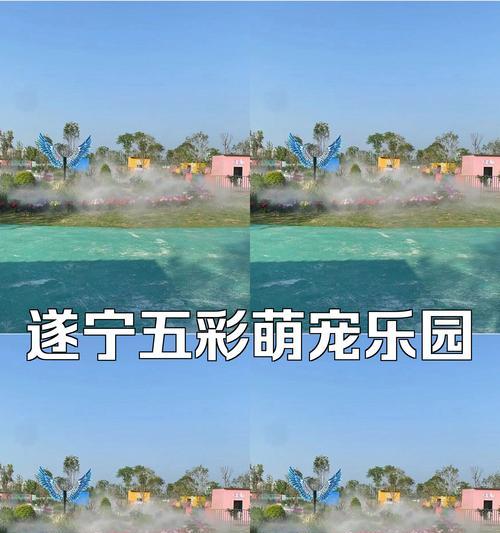 欢乐王国（一个小女孩在乐园里的奇妙之旅）