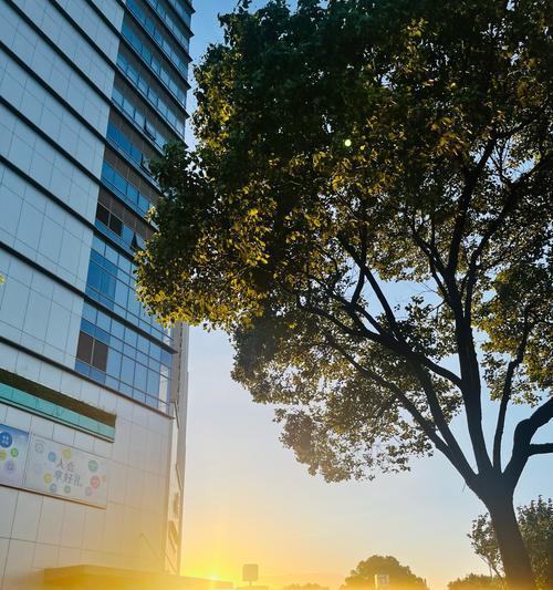 莉莉与夕阳的故事（追逐和珍爱）