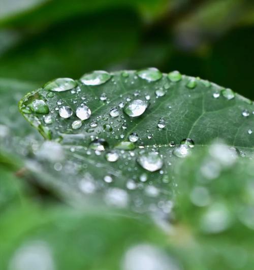 风雨过后，晴空万里（寻找内心的平静）