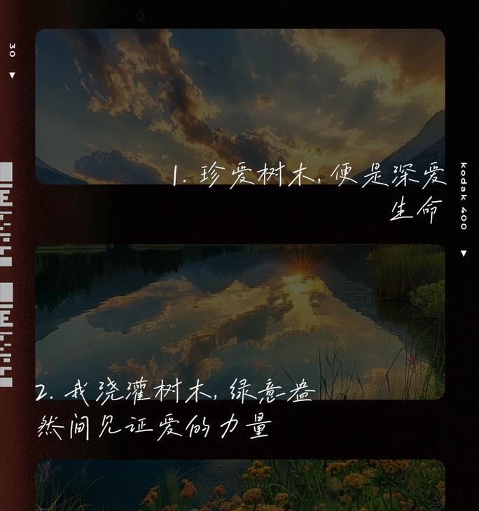 那些年我们一起种过的树（用心去爱，小树变成大树）
