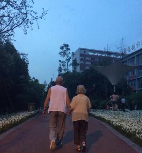 一生相伴，不离不弃